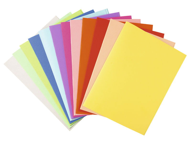 EXACOMPTA - Subcarpeta Foldyne A4/folio Cartulina reciclada Colores surt. 180 G (Ref.420000E)