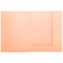 EXACOMPTA - Subcarpeta cartulina con 2 solapas din A4 gama super crema 210 gr (Ref. 332002E)