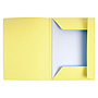 EXACOMPTA - Subcarpeta cartulina con 3 solapas din A4 impresa amarillo canario 210 gr (Ref. 235005E)