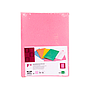 LIDERPAPEL - Subcarpeta folio rosa pastel 180g/m2 (Ref. SC39)