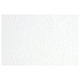 SADIPAL - Cartulina lisa/rugosa 2 texturas 50x70 cm 220g/m2 blanco (Ref. F42450700)