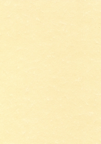 APLI - PAPEL PERGAMINO A4 95g 100h CHAMPAN (Ref.PCL1601/11958)