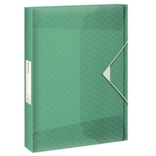 ESSELTE - CARPETA de PROYECTOS COLOUR&quot;ICE PP A4 GOMAS 2,5 cm VERDE (Ref.626260)