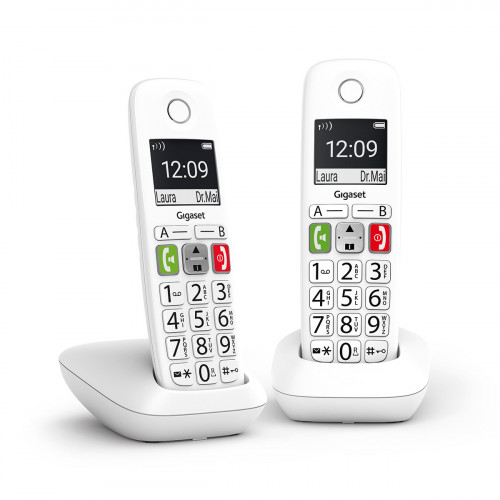 GIGASET - E290 Duo Teléfono DECT/analógico Identificador de llamadas Blanco (Ref.L36852-H2901-D202)