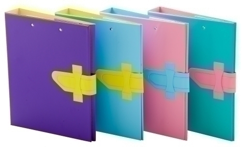 IBERPLAS - CARPETA de ANILLAS con PINZA MINICLIP SUPERIOR PVC ESCOLAR Fº 4 an.25mm con TRABILLA COLORES MIX (Ref.515CFC-90)