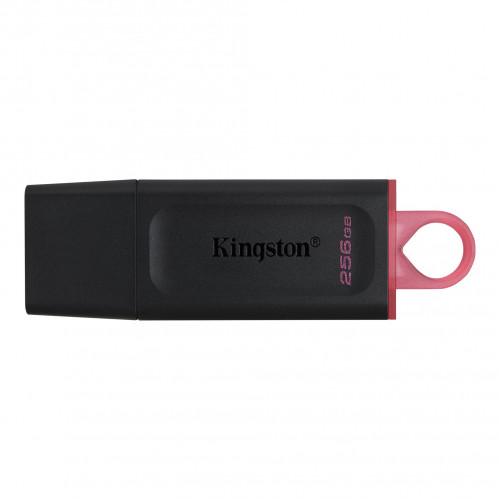 KINGSTON - Technology DataTraveler Exodia unidad flash USB 256 GB USB tipo A 3.2 Gen 1 (3.1 Gen 1) Negro (Canon L.P.I. 0,24€ Incluido) (Ref.DTX/256GB)