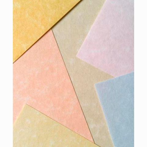 MICHEL - PAPEL PARCHMENT 180GR A4 PACK 100U PERGAMINO (Ref.9916229)