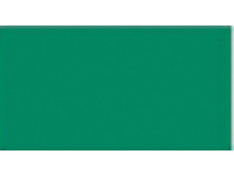 CANSON - Cartulina IRIS 50x65 cm Verde abeto 185 gr (Ref.200040239)