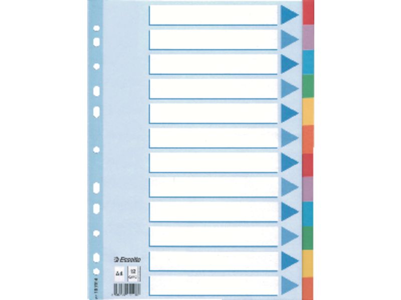 ESSELTE - Separadores 12 posiciones A4 (Ref.100194)