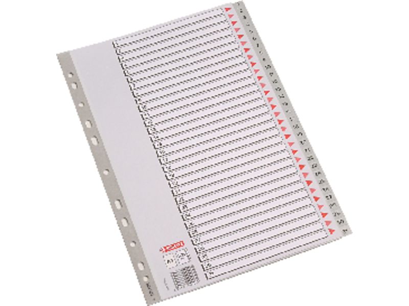 ESSELTE - Separadores numericos 31 posiciones A4 Multitaladro (Ref.100108)