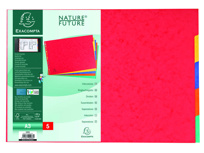 EXACOMPTA - Separador CARTULINA A3 5 POSICIONES 400 GR (Ref.2905E)