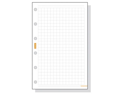 FINOCAM - RECAMBIO AGENDA 400 CUADRICULA 91X152MM (Ref.EN1954098)