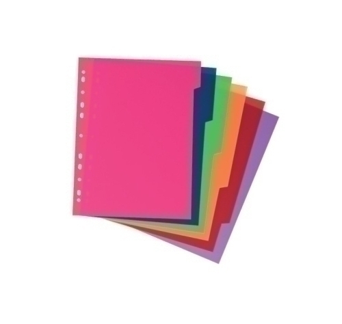 CARCHIDEA - Separador polipropileno extra fuerte, tamaño especial XXL, 6 posiciones (Ref.49051699)