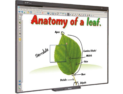 PROMETHEAN - Pizarra interactiva sb480 77\&quot; con proyector y soporte (Ref. PACK SB480 BASICO)