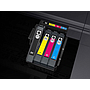 EPSON - Ink-jet negro std estrella de mar 1 603 rf / am single (Ref. C13T03U14020)