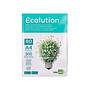 LIDERPAPEL - PAPEL FOTOCOPIADORA ECOLUTION - DIN A4 - 80g - PAQUETE 500 HOJAS (Ref.FT02)